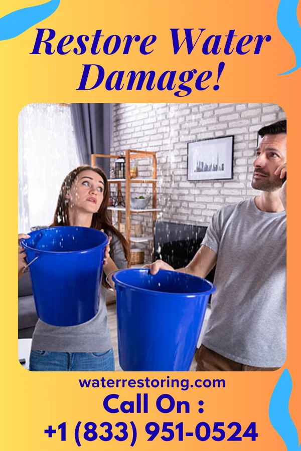 water restoration Local Flood Mitigation Services Rosharon
